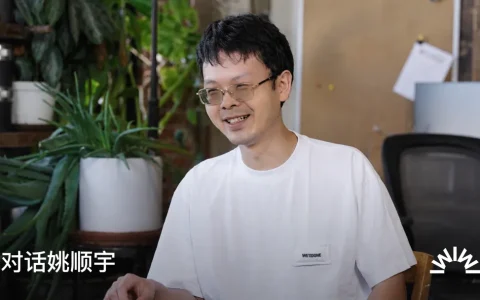 独家对话姚顺宇：请允许我小疯一下
