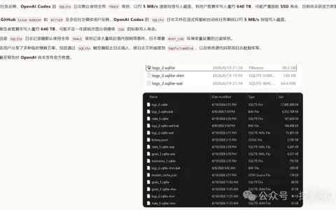 Codex史诗级大bug，随时准备烧穿你的硬盘（附解决方案）