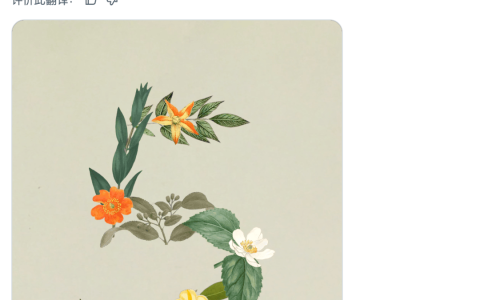 大规模封号后，Claude 突然发布更便宜的新模型