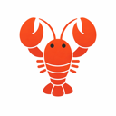 资讯组小编的头像