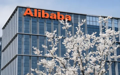 PE远低于亚马逊，资本为何没对阿里AI出价？