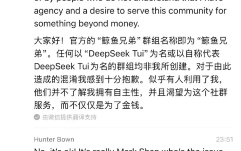 DeepSeek TUI 创始人「鲸鱼兄弟」来中国，被狠狠上了一课