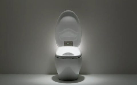 卖马桶的 TOTO 杀疯了，成了 AI 芯片的幕后赢家